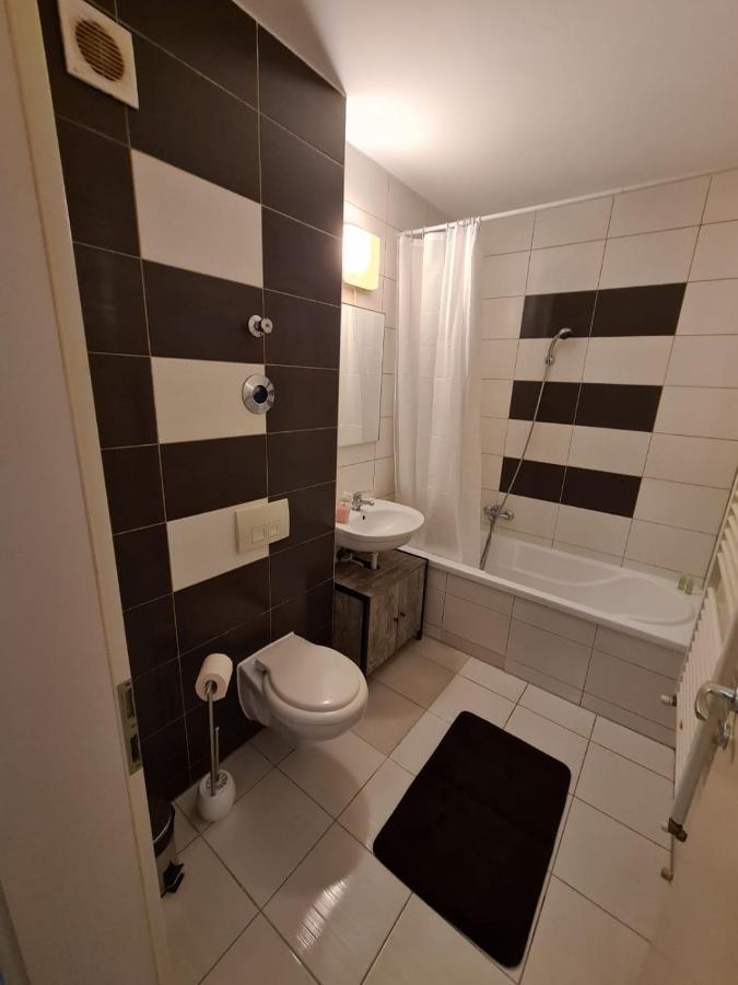 Ferienwohnung Garsoniera Zebra Brașov Exterior foto
